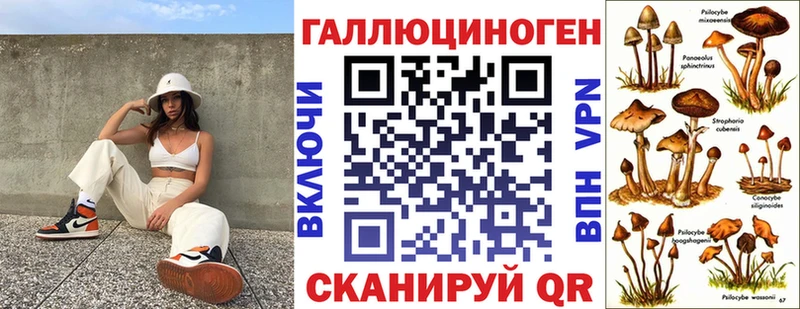 blacksprut ссылки  Белогорск  Псилоцибиновые грибы GOLDEN TEACHER 
